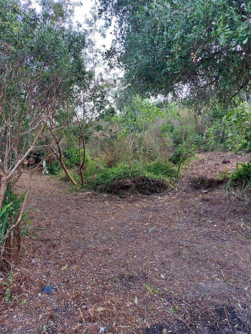 0 Bedroom Property for Sale in Paradise Western Cape